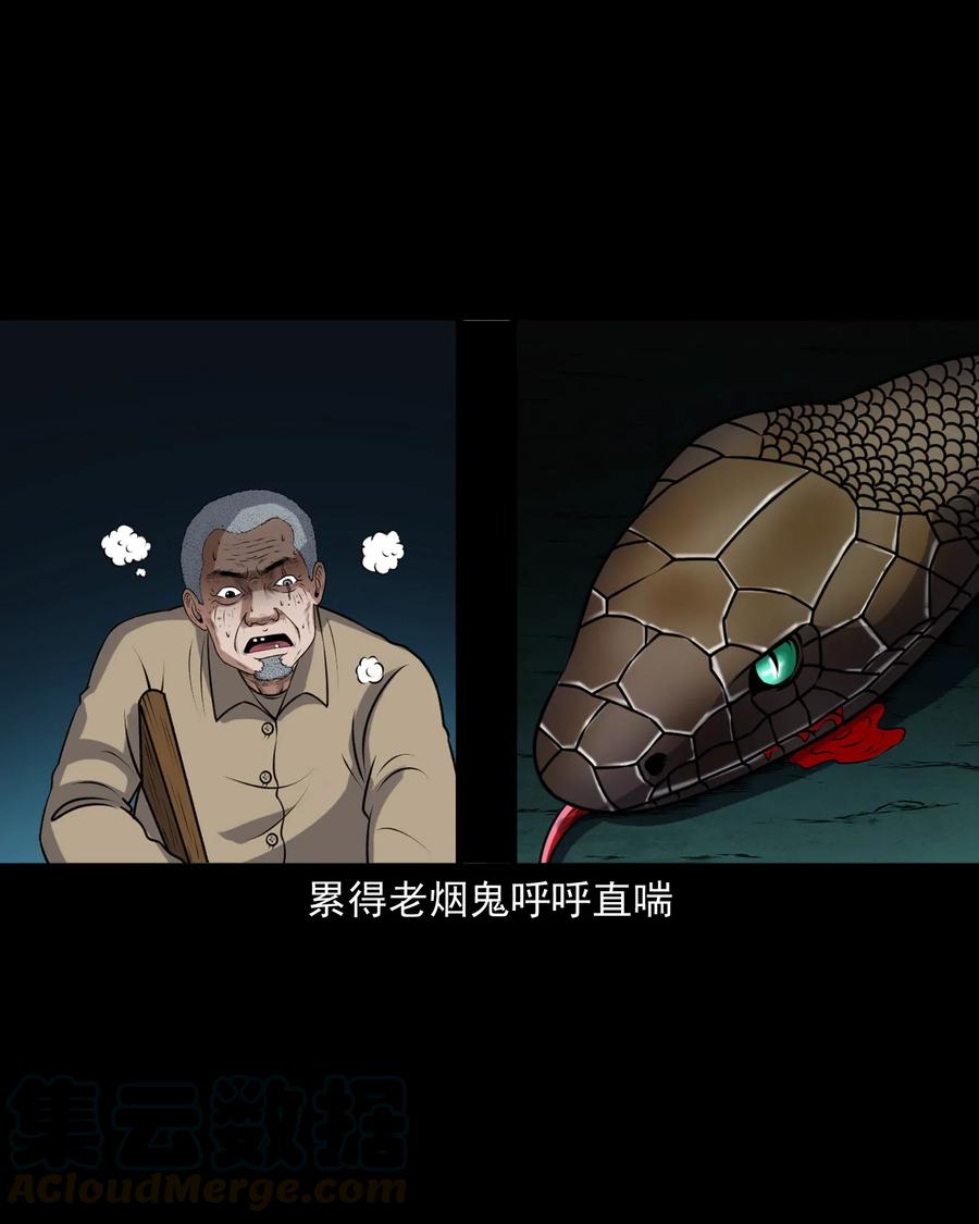 403 老烟鬼4060