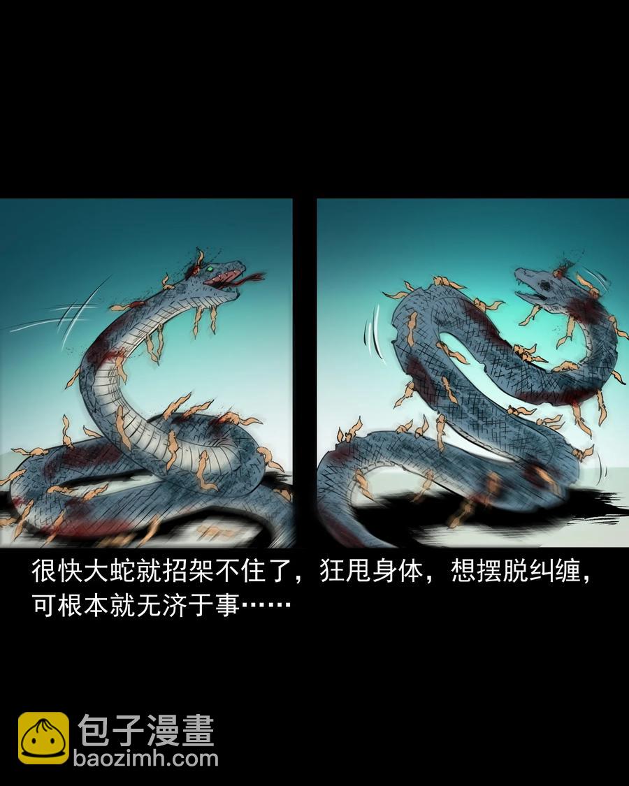 505 山神传说五37