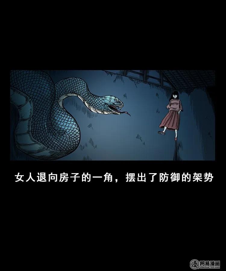100 扎彩匠破凶宅（下）31