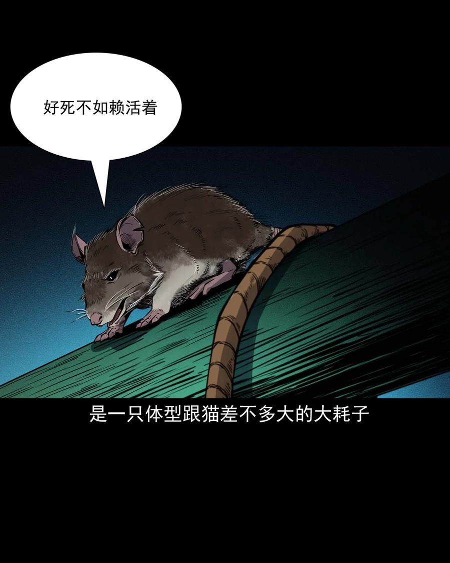 438 灰仙神偷42