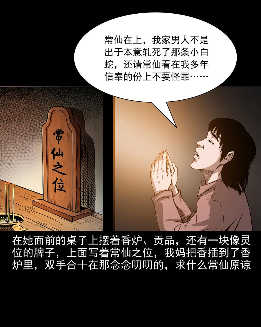 291 蛇祸6