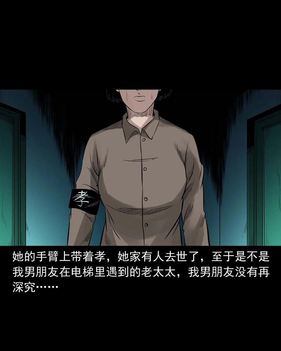 511 猫看见了什么46