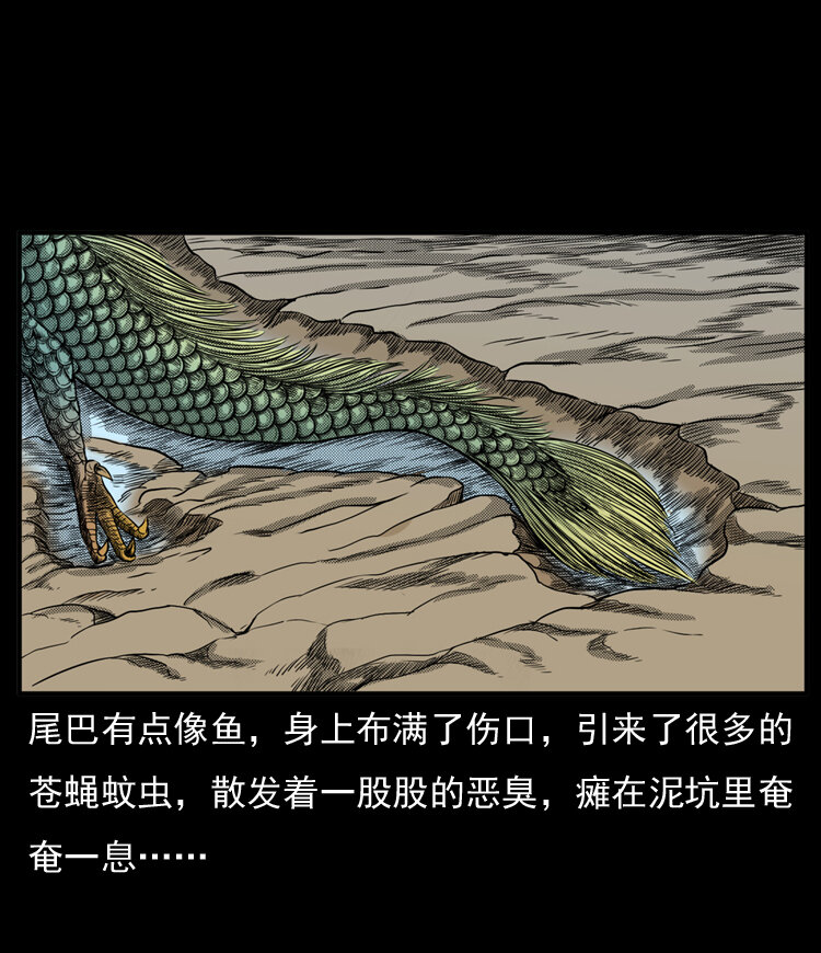 20 坠龙59