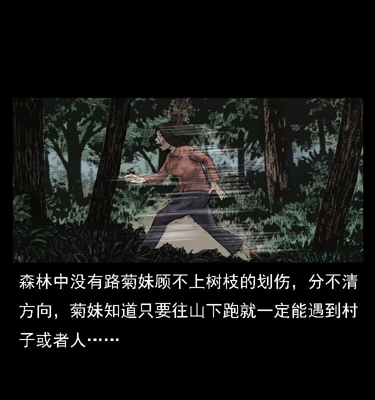 16 神农架野人53