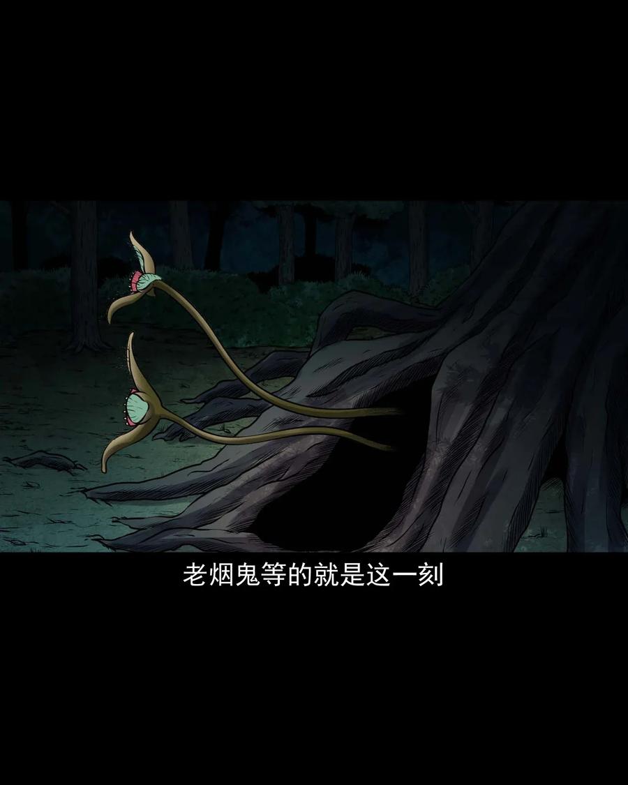 417 老烟鬼4750