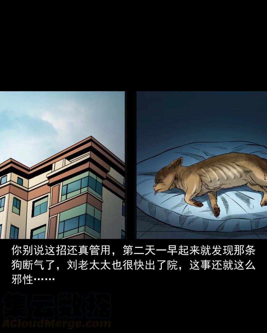 509 狗命34