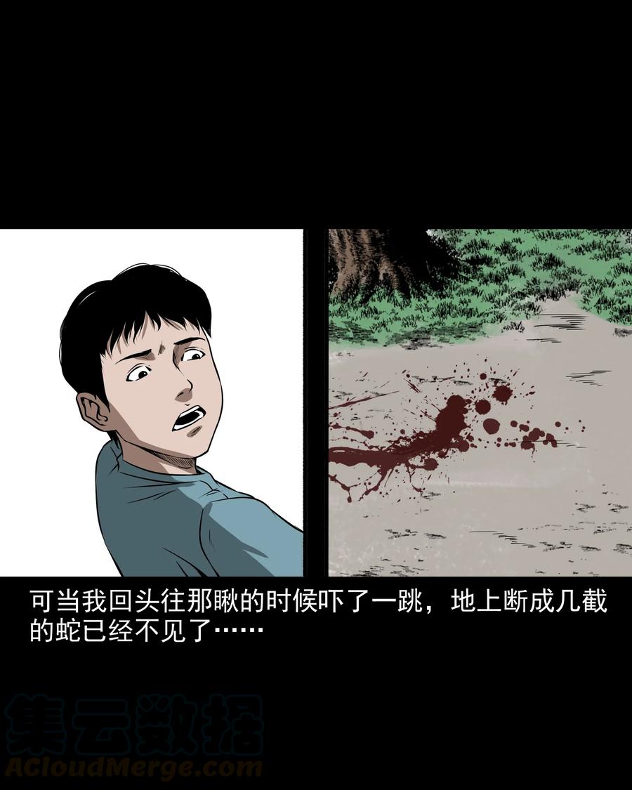 291 蛇祸24