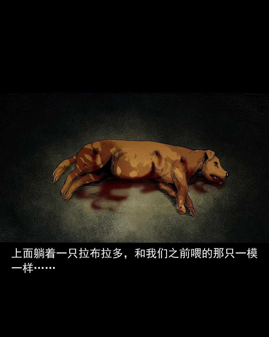 412 找狗人55