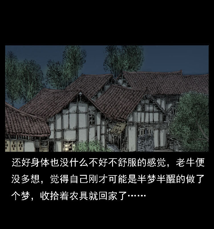 18 寄生物28