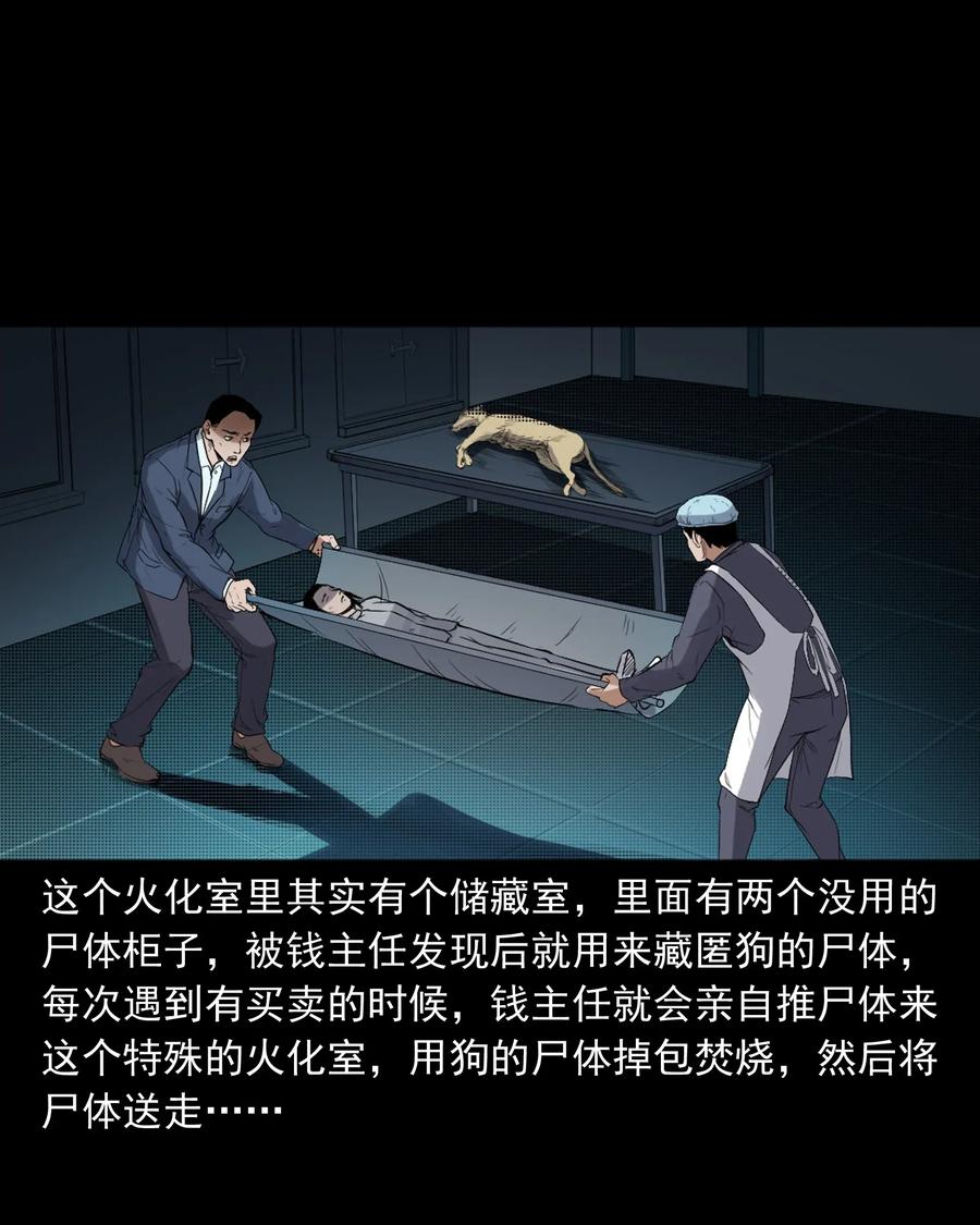 406 消失的尸体22