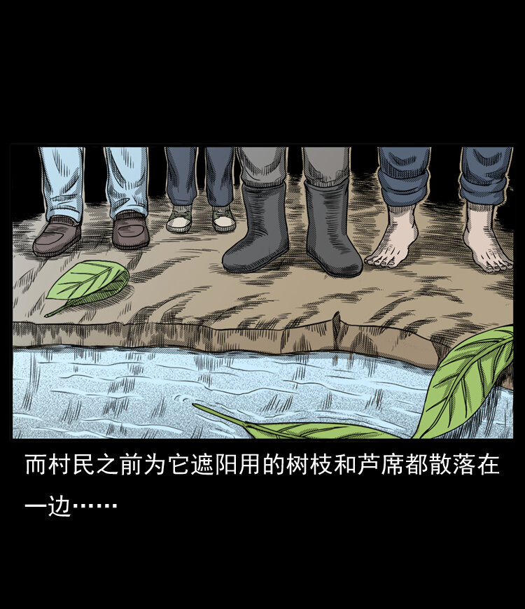 20 坠龙77