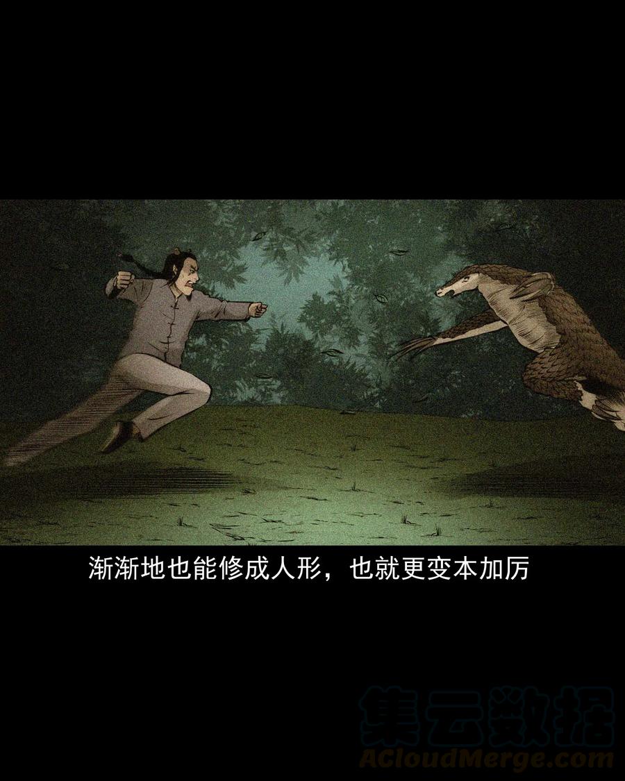 510 老烟鬼9172