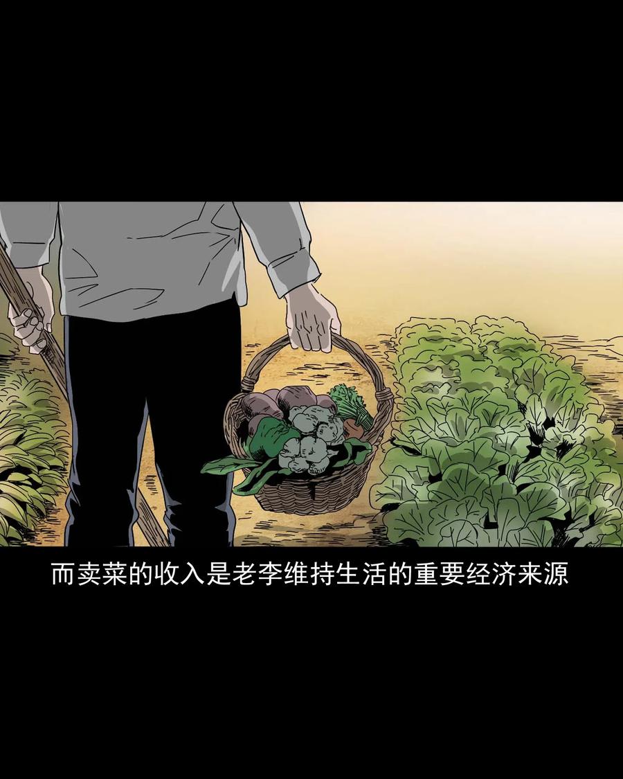 463 老伙计3