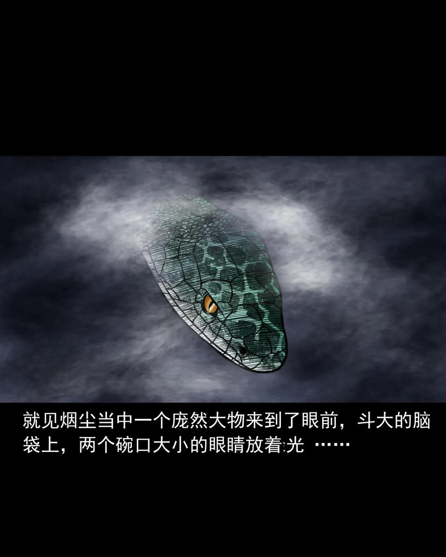 357 老烟鬼（十七）62