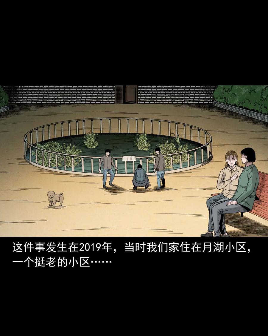 537 不速来客1