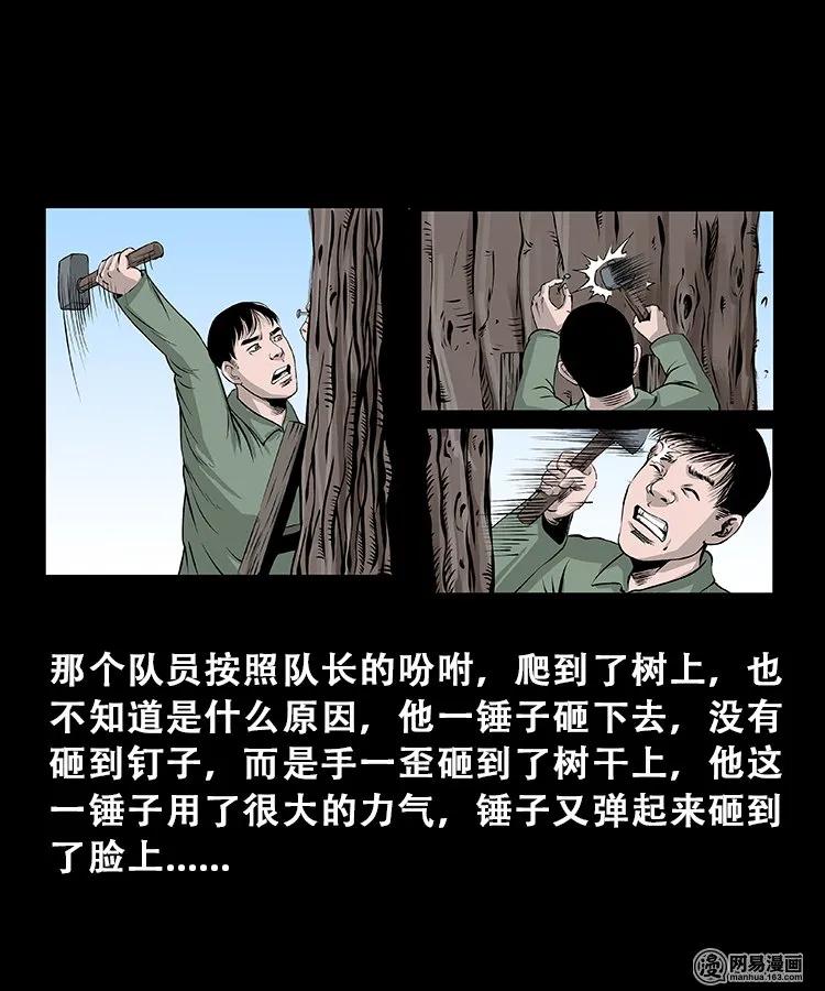 104 邪树10