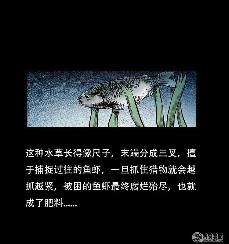 70 龙王尸（下）79