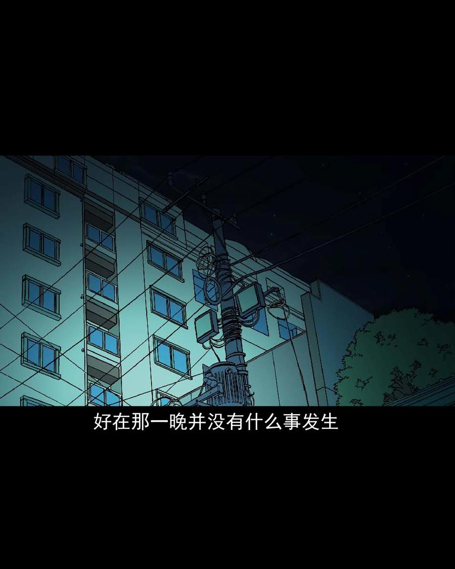 511 猫看见了什么37