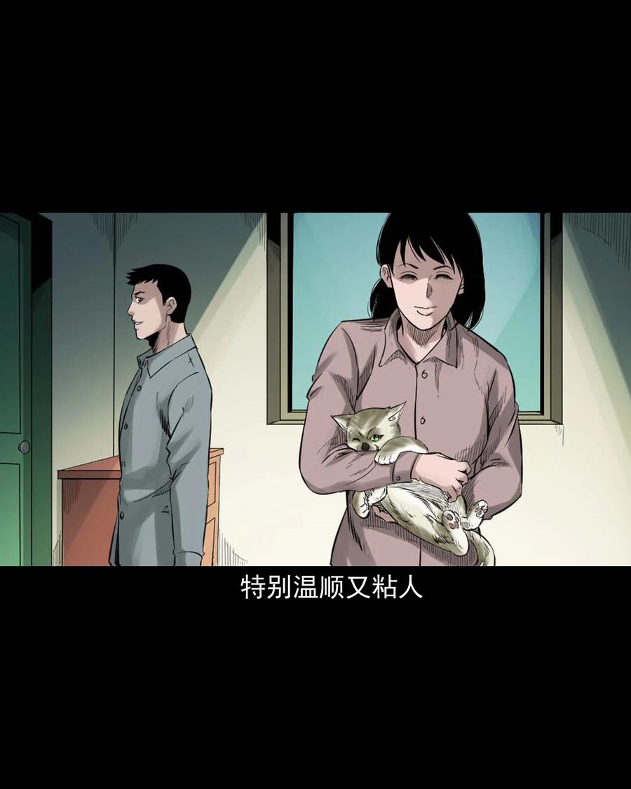511 猫看见了什么7