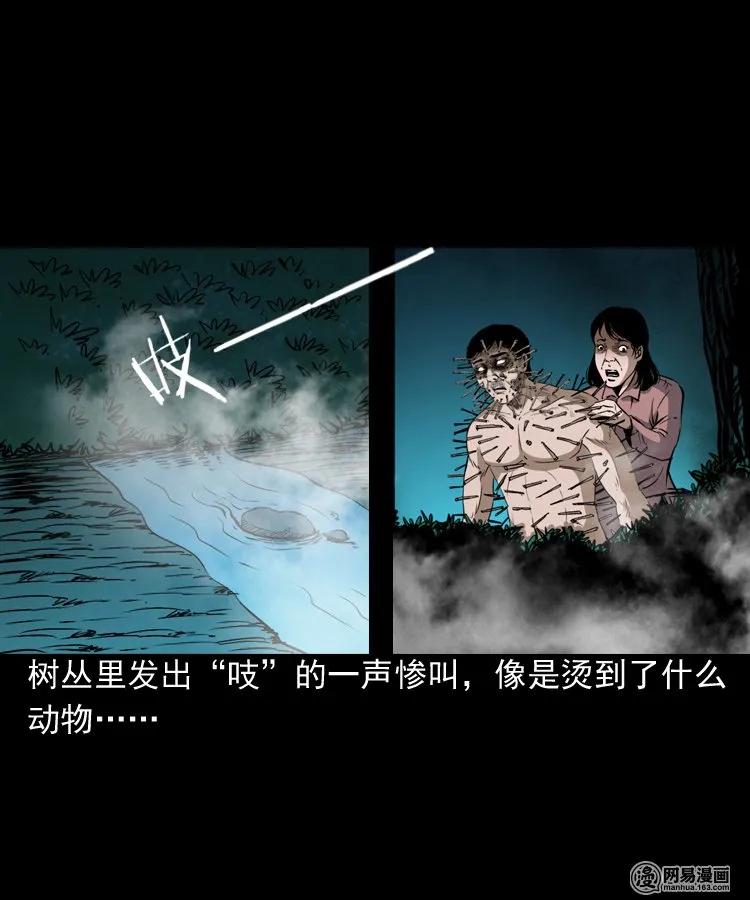 168 刺猬50