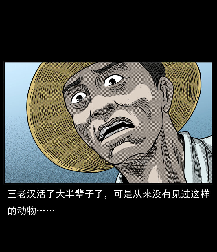 20 坠龙56