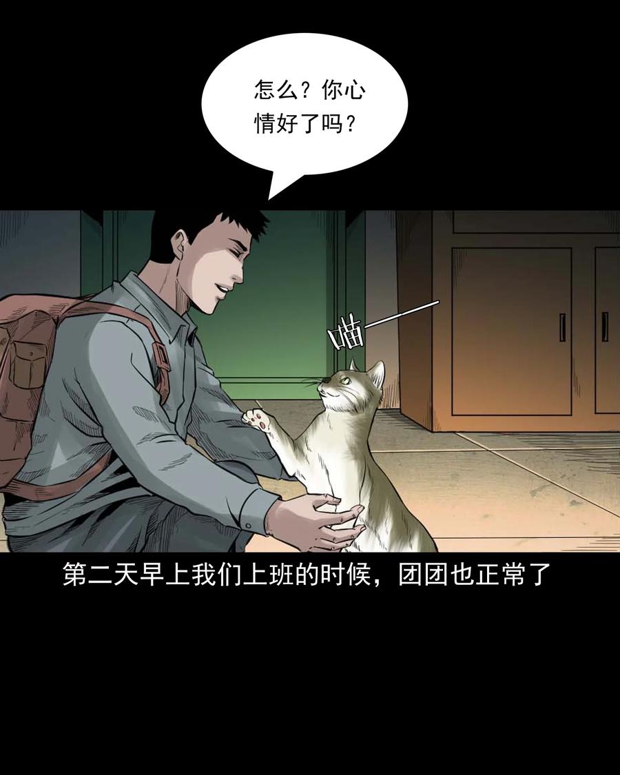 511 猫看见了什么38