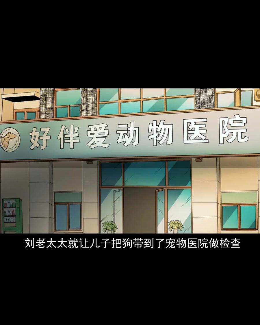 509 狗命23