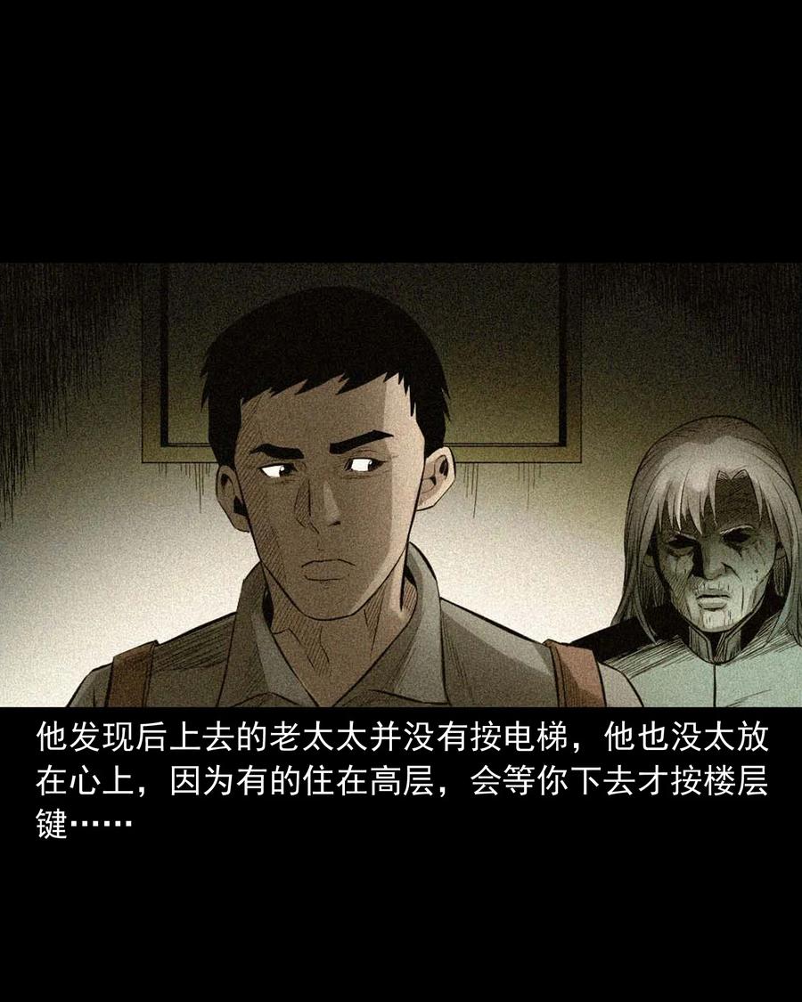 511 猫看见了什么26