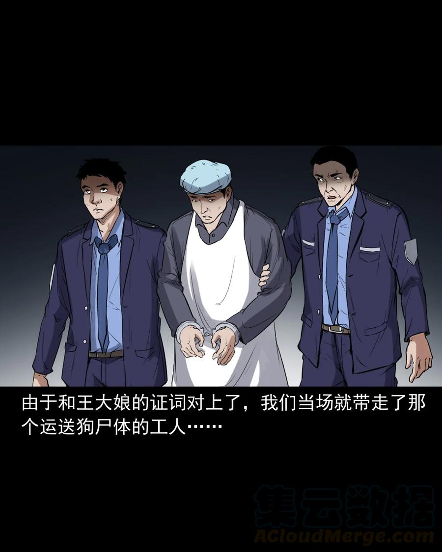 406 消失的尸体20