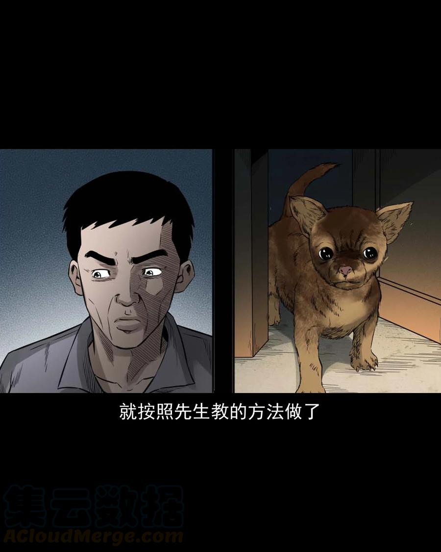 509 狗命32