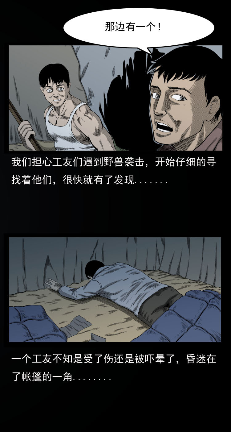 10 青藏铁路怪物事件8