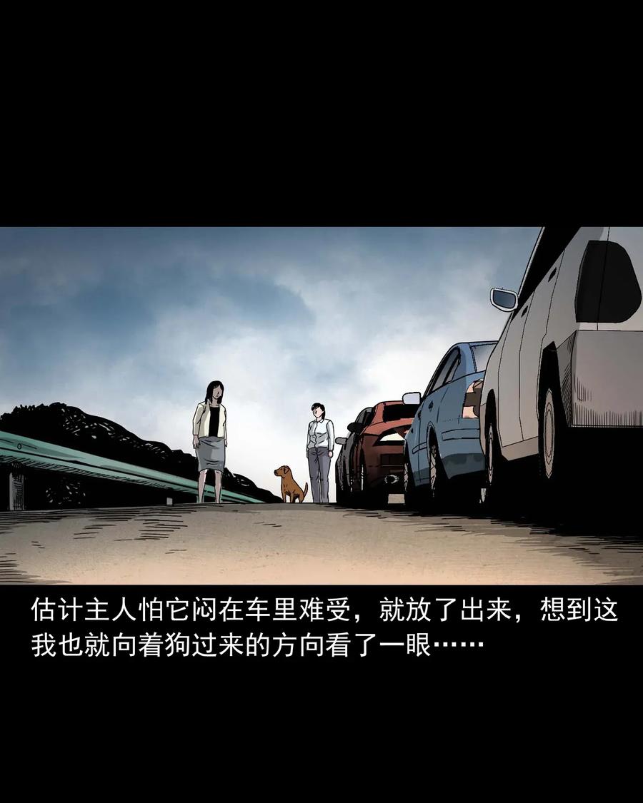 412 找狗人17
