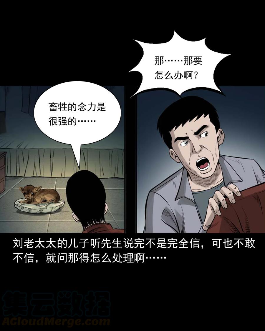 509 狗命28
