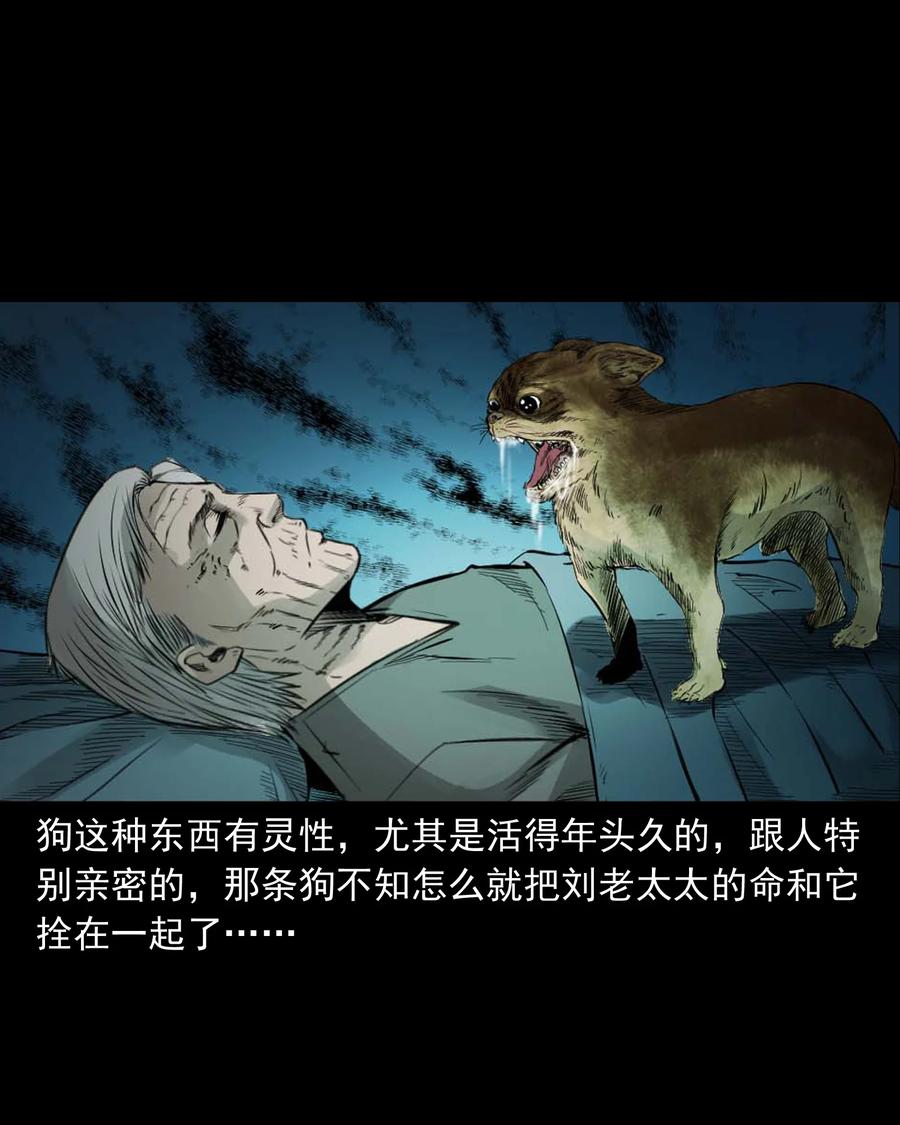 509 狗命27