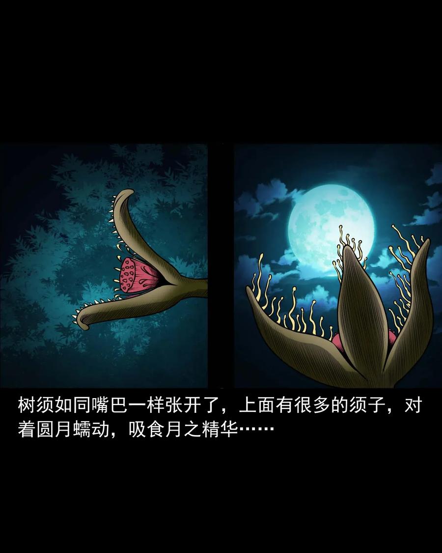 417 老烟鬼4749