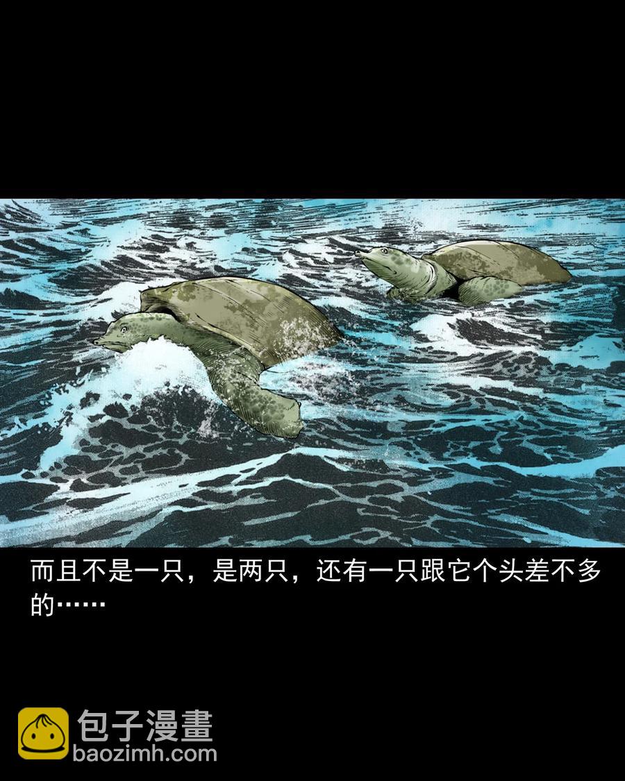 493 大王八37