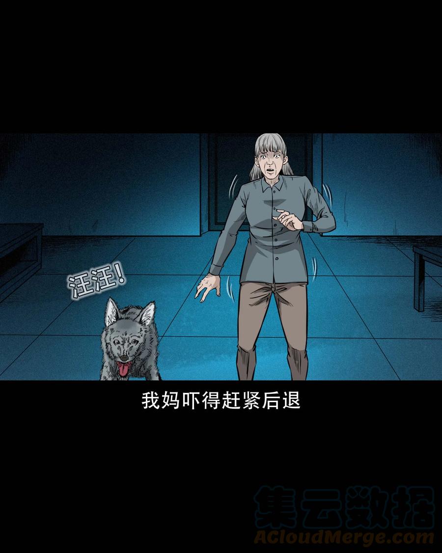 574 深夜访客27