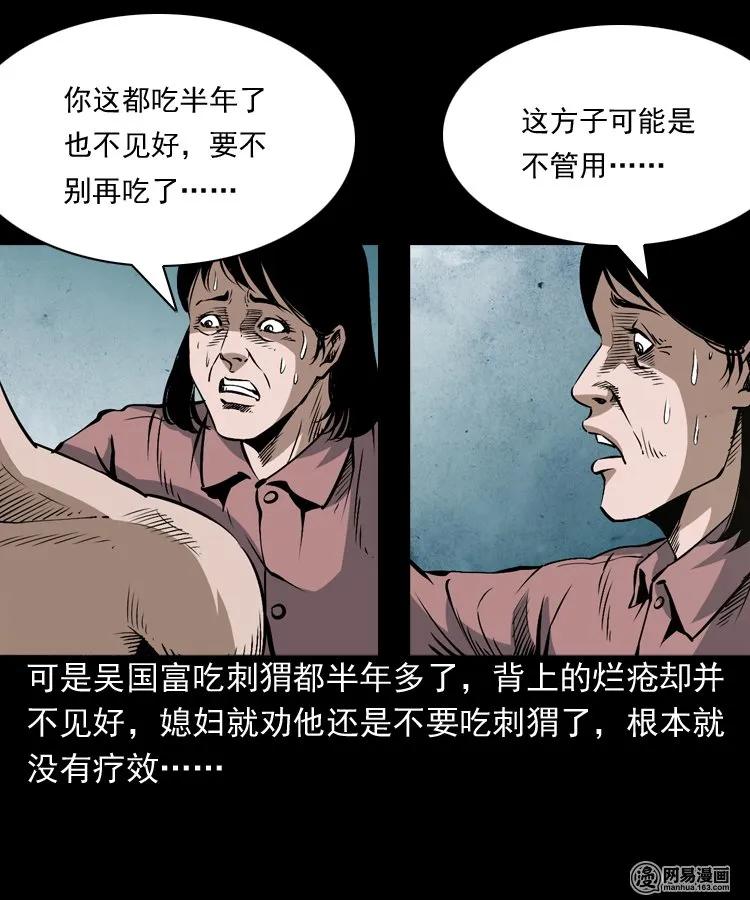 168 刺猬22
