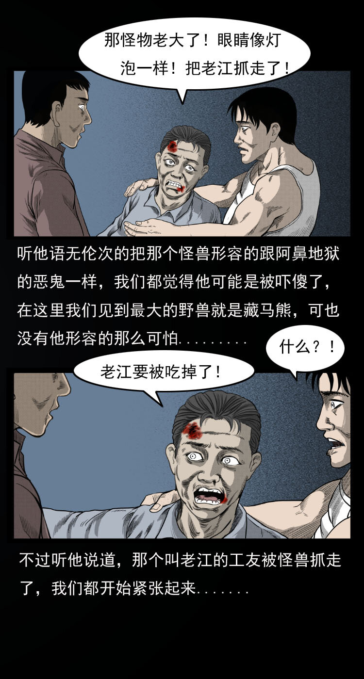 10 青藏铁路怪物事件11