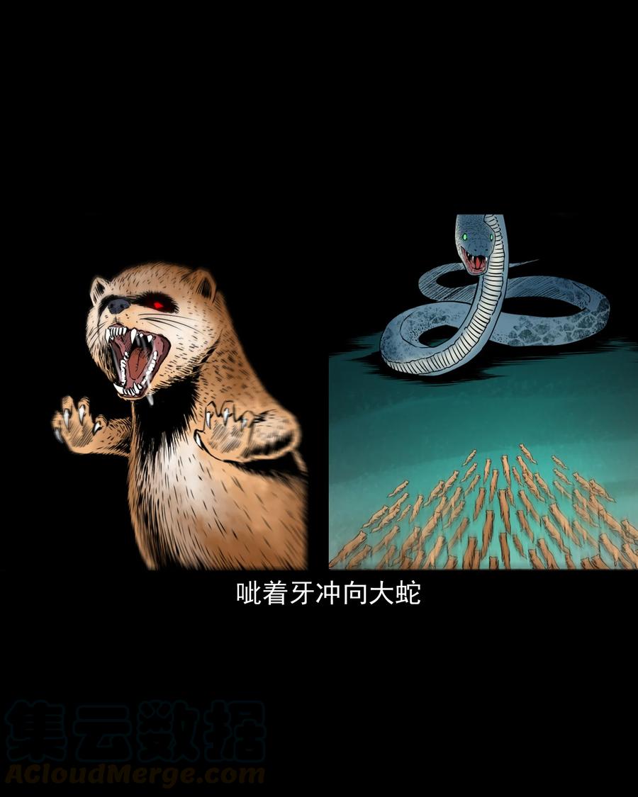 505 山神传说五33