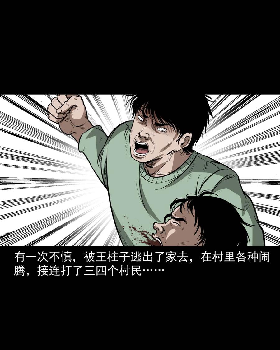 313 疯病29
