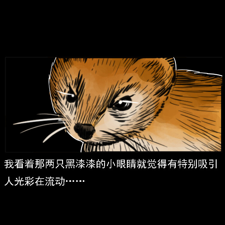 22 黄皮子报恩20