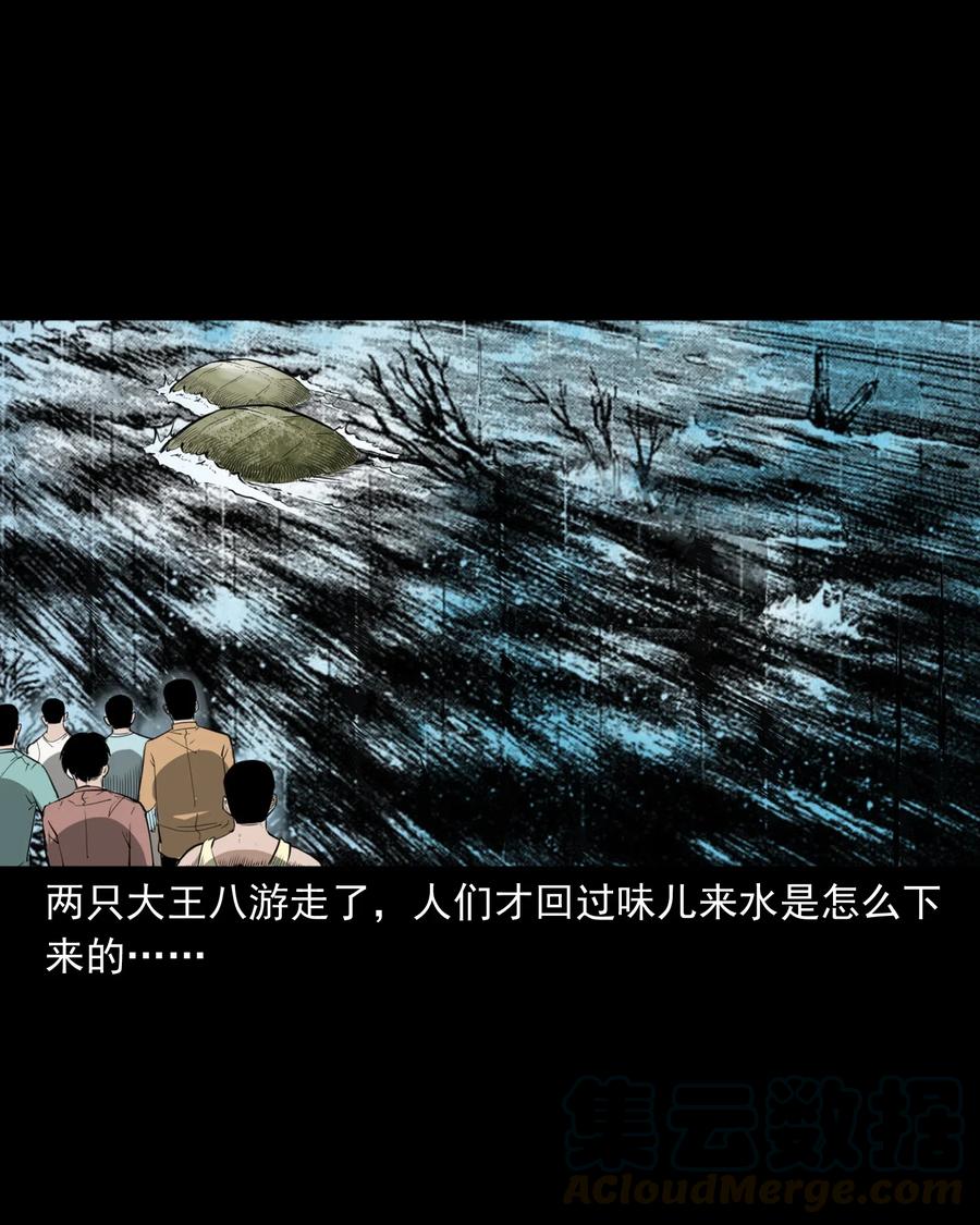 493 大王八39