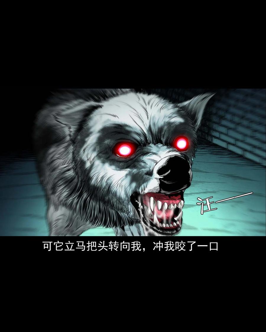 539 犬灵25