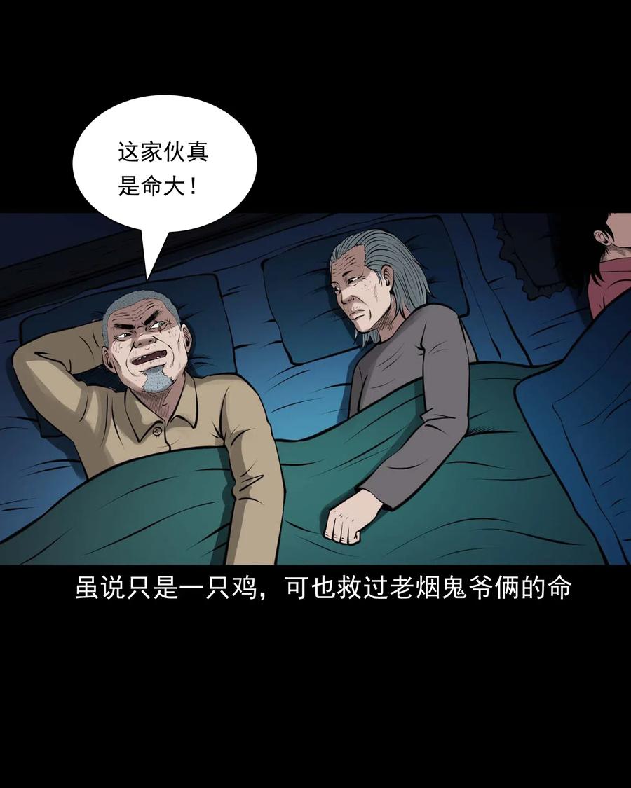 488 老烟鬼8213