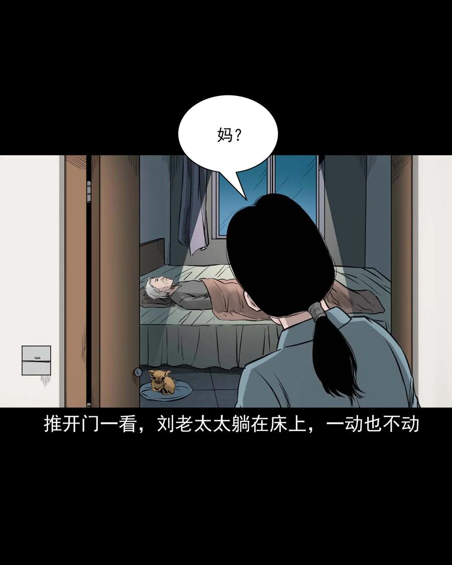 509 狗命9