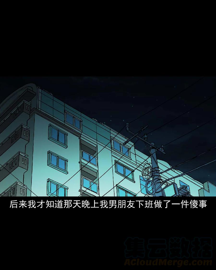511 猫看见了什么39
