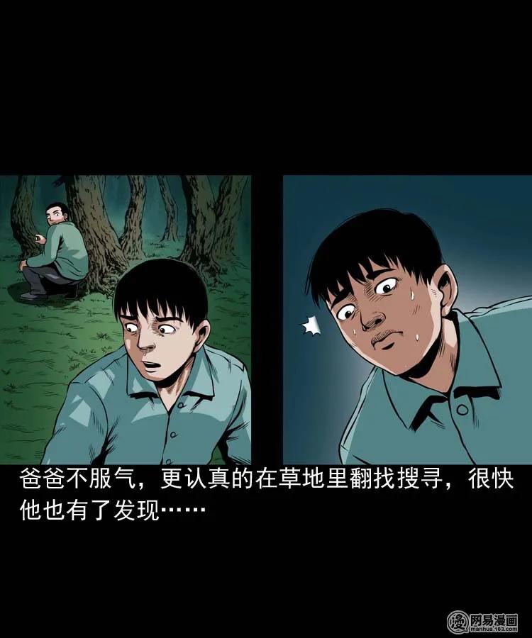 178 发夹14