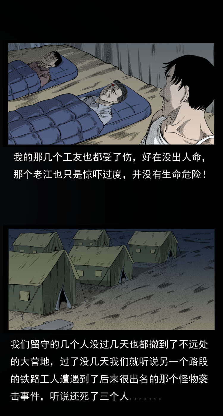 10 青藏铁路怪物事件34