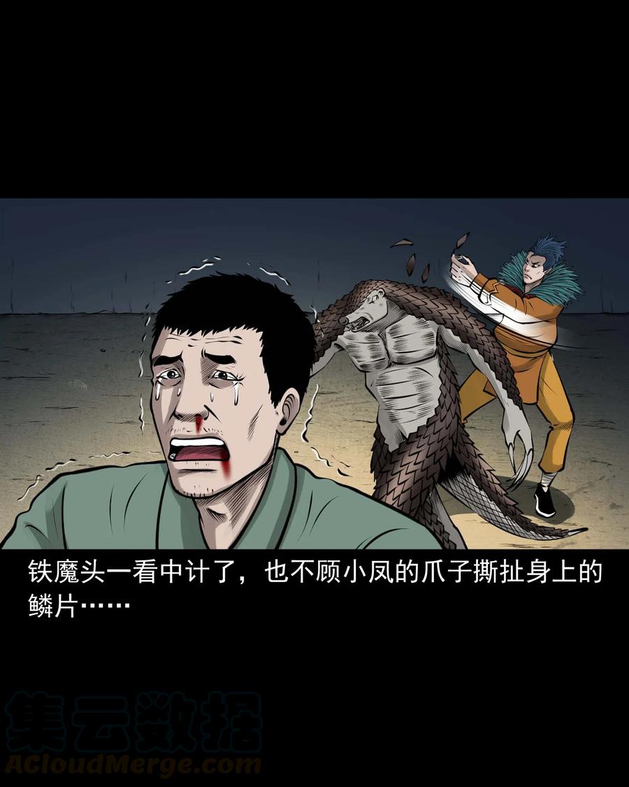 512 老烟鬼9245